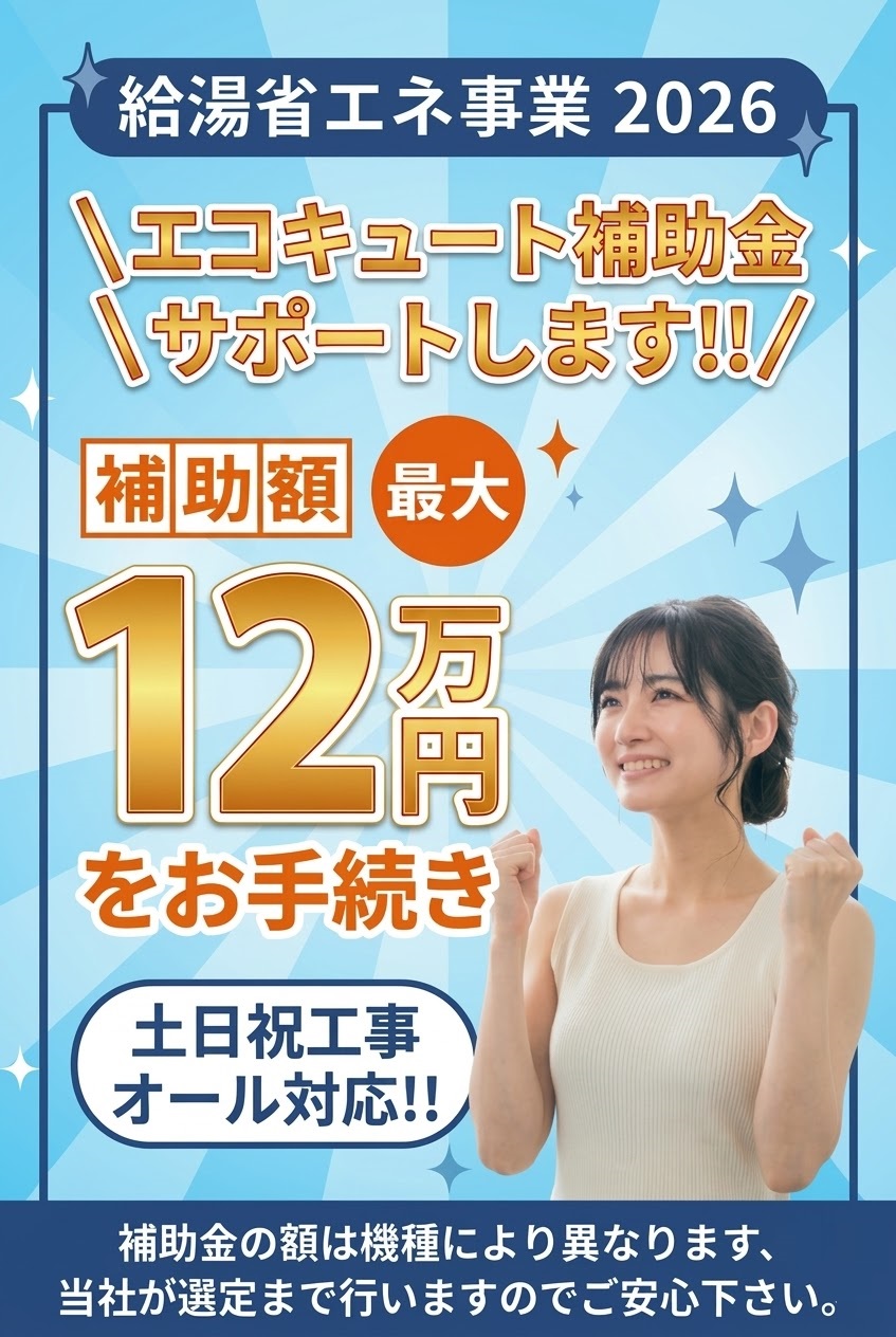 補助金詳細画像